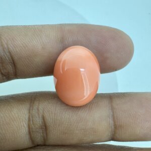 13.22 Carat/ 14.67 Ratti Natural Japanese Coral/ Moonga Gemstone