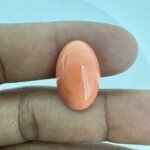 11.00 Carat/ 12.21 Ratti Natural Japanese Coral/ Moonga Gemstone