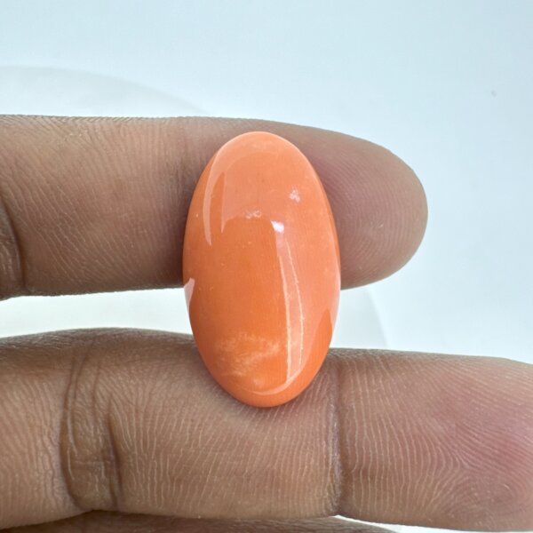 16.10 Carat/ 17.87 Ratti Natural Japanese Coral/ Moonga Gemstone