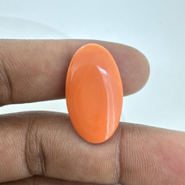 16.10 Carat/ 17.87 Ratti Natural Japanese Coral/ Moonga Gemstone