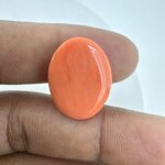 16.93 Carat/ 18.79 Ratti Natural Japanese Coral/ Moonga Gemstone