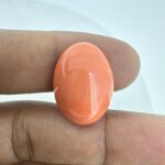 16.93 Carat/ 18.79 Ratti Natural Japanese Coral/ Moonga Gemstone
