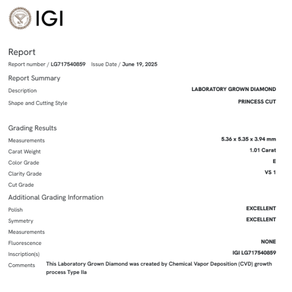 IGI Certified Princess Cut 1.01 Ct Lab Grown Diamond Loose Stone
