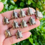 Natural Pyrite Tortoise