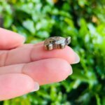 Natural Pyrite Tortoise