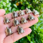 Natural Pyrite Tortoise