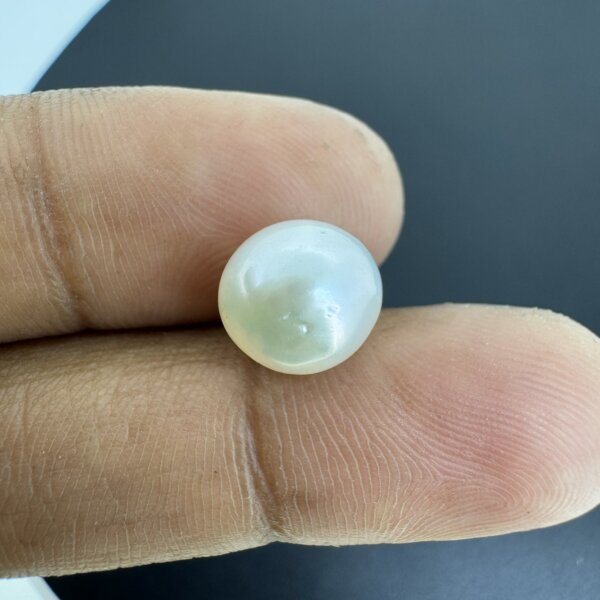 6.15 Carat /6.82 Ratti Natural Venezuela Saltwater Pearl (Moti)