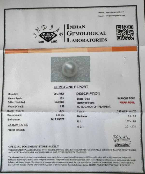 6.29 Carat /6.98 Ratti Natural Venezuela Saltwater Pearl (Moti)