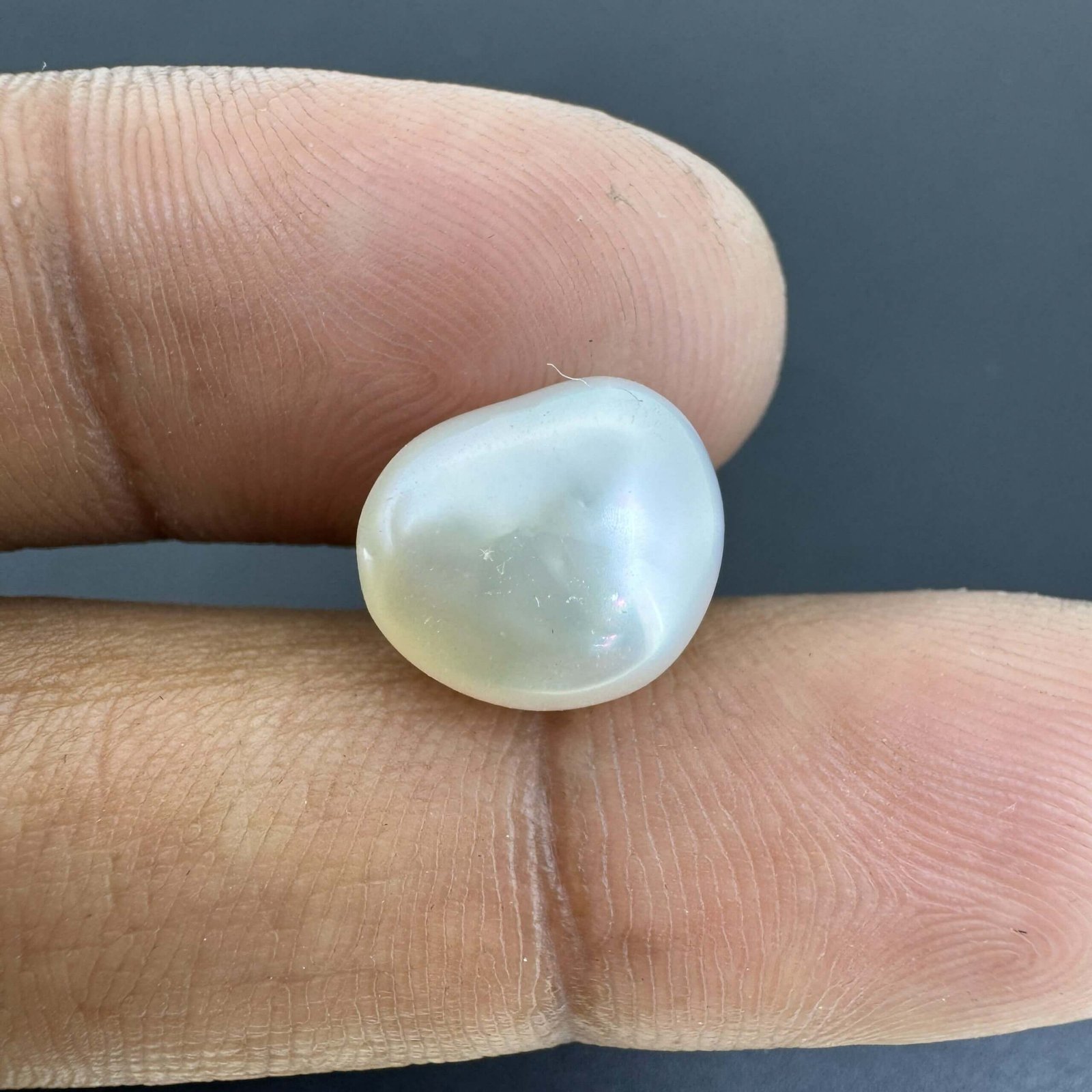 6.77 Carat/ 7.51 Ratti Natural Venezuela Saltwater Pearl (Moti)