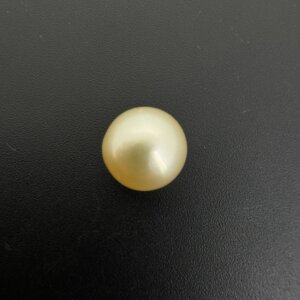 7.83 Carat/ 8.69 Ratti Natural Venezuela Saltwater Pearl (Moti)