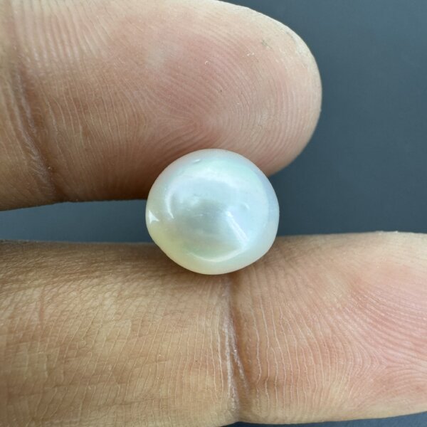 6.70 Carat/ 7.43 Ratti Natural Venezuela Saltwater Pearl (Moti)