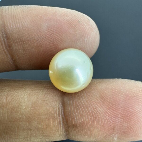 7.83 Carat/ 8.69 Ratti Natural Venezuela Saltwater Pearl (Moti)