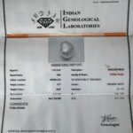 6.77 Carat/ 7.51 Ratti Natural Venezuela Saltwater Pearl (Moti)