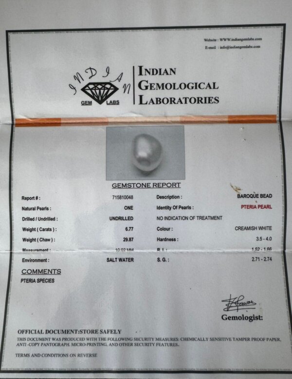 6.77 Carat/ 7.51 Ratti Natural Venezuela Saltwater Pearl (Moti)