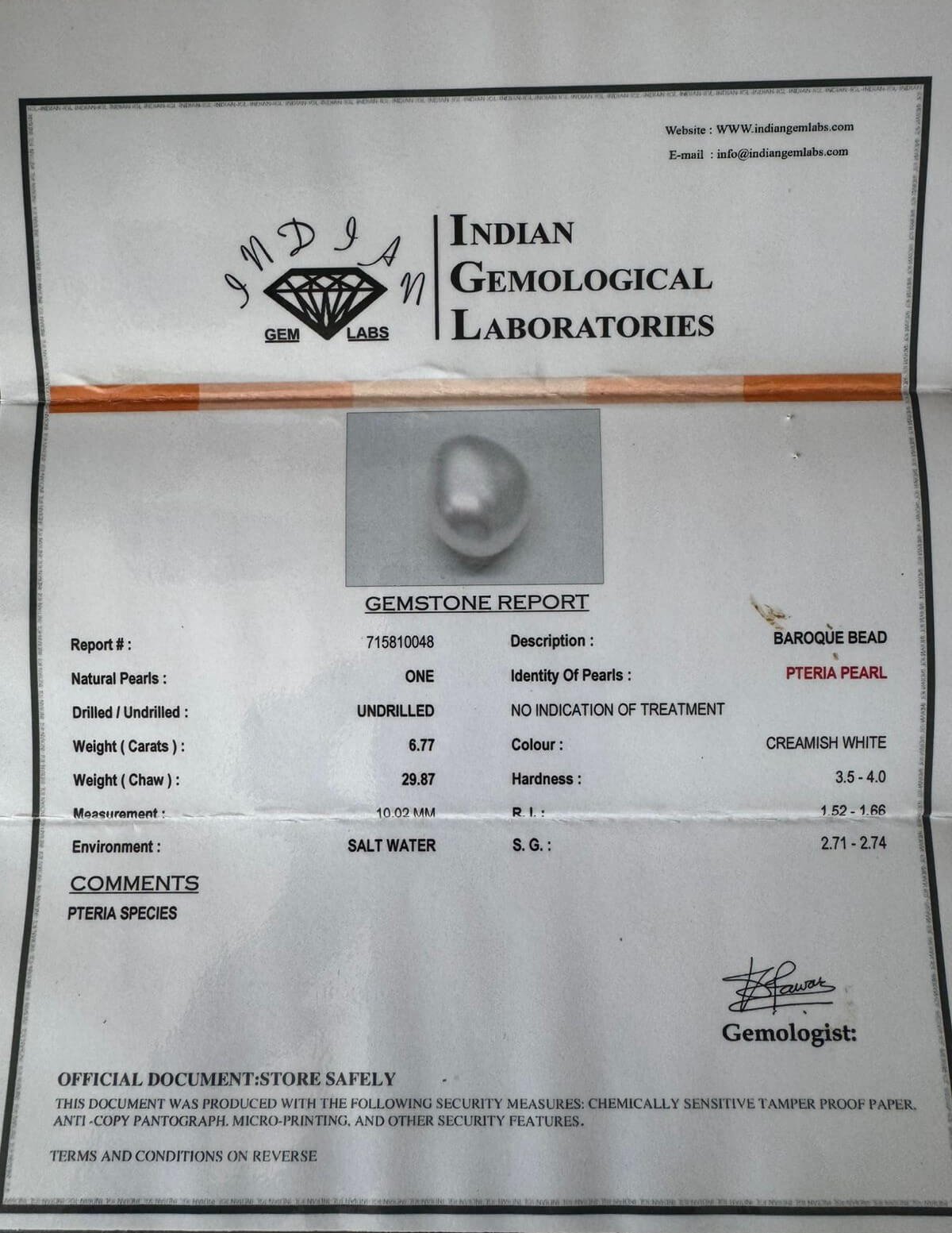 6.77 Carat/ 7.51 Ratti Natural Venezuela Saltwater Pearl (Moti)