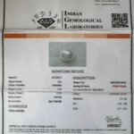 6.47 Carat/ 7.18 Ratti Natural Venezuela Saltwater Pearl (Moti)