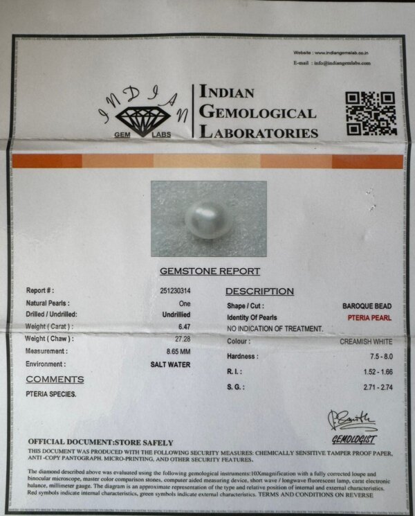 6.47 Carat/ 7.18 Ratti Natural Venezuela Saltwater Pearl (Moti)