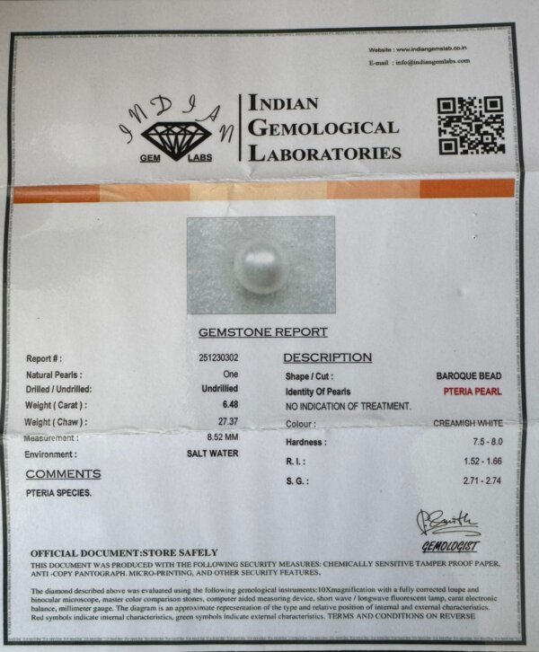 6.48 Carat/ 7.19 Ratti Natural Venezuela Saltwater Pearl (Moti)