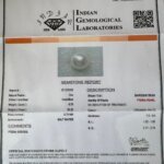 6.70 Carat/ 7.43 Ratti Natural Venezuela Saltwater Pearl (Moti)