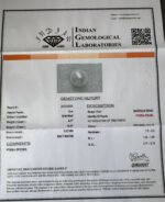 6.77 Carat/ 7.51 Ratti Natural Venezuela Saltwater Pearl (Moti)