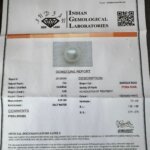 6.40 Carat/ 7.10 Ratti Natural Venezuela Saltwater Pearl (Moti)