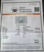 6.40 Carat/ 7.10 Ratti Natural Venezuela Saltwater Pearl (Moti)