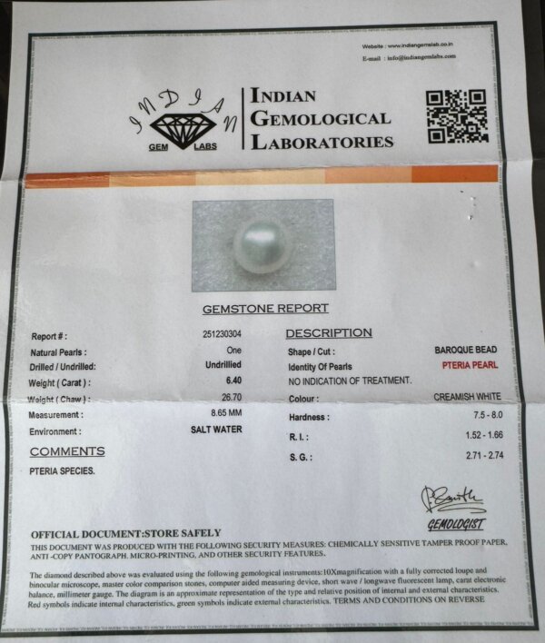 6.40 Carat/ 7.10 Ratti Natural Venezuela Saltwater Pearl (Moti)