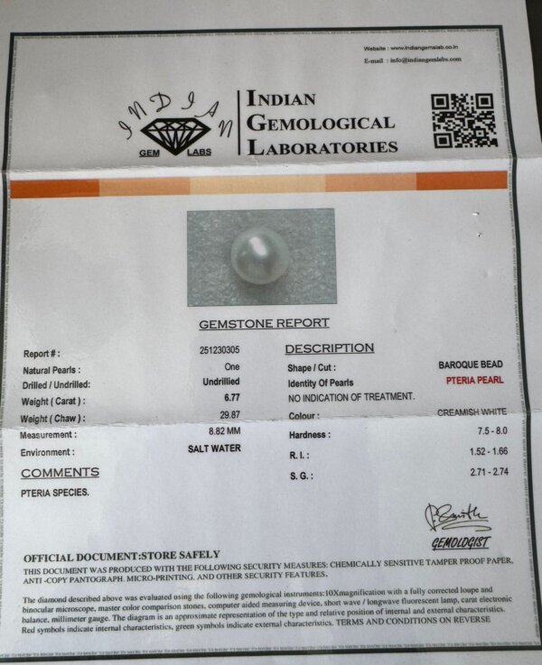 6.77 Carat/ 7.51 Ratti Natural Venezuela Saltwater Pearl (Moti)