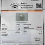 7.83 Carat/ 8.69 Ratti Natural Venezuela Saltwater Pearl (Moti)