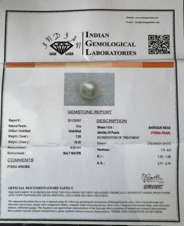 7.83 Carat/ 8.69 Ratti Natural Venezuela Saltwater Pearl (Moti)