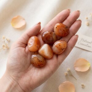 Natural carnelian tumble stone polished orange crystal shown in front side top and angled views