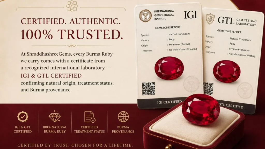 Luxury infographic comparing Natural vs. Heated Burma Ruby in elegant maroon and cream tones. The design highlights the differences between unheated natural Burma rubies and heat-treated rubies for astrology, investment, and authenticity. Large vivid red rubies are displayed side by side with comparison points including “100% Natural,” “No Heat Treatment,” “Higher Value & Better Investment,” and “Heat Treated.” The poster also warns about lead glass filling in low-quality rubies and emphasizes IGI & GTL certification for natural origin, treatment status, and Burma provenance. A premium gemstone box branded “Shraddha Shree Gems” appears in the corner, reinforcing luxury, trust, and certified authenticity.