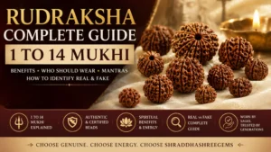 Natural Rudraksha bead featuring a textured sacred seed surface with traditional spiritual and earthy appeal.