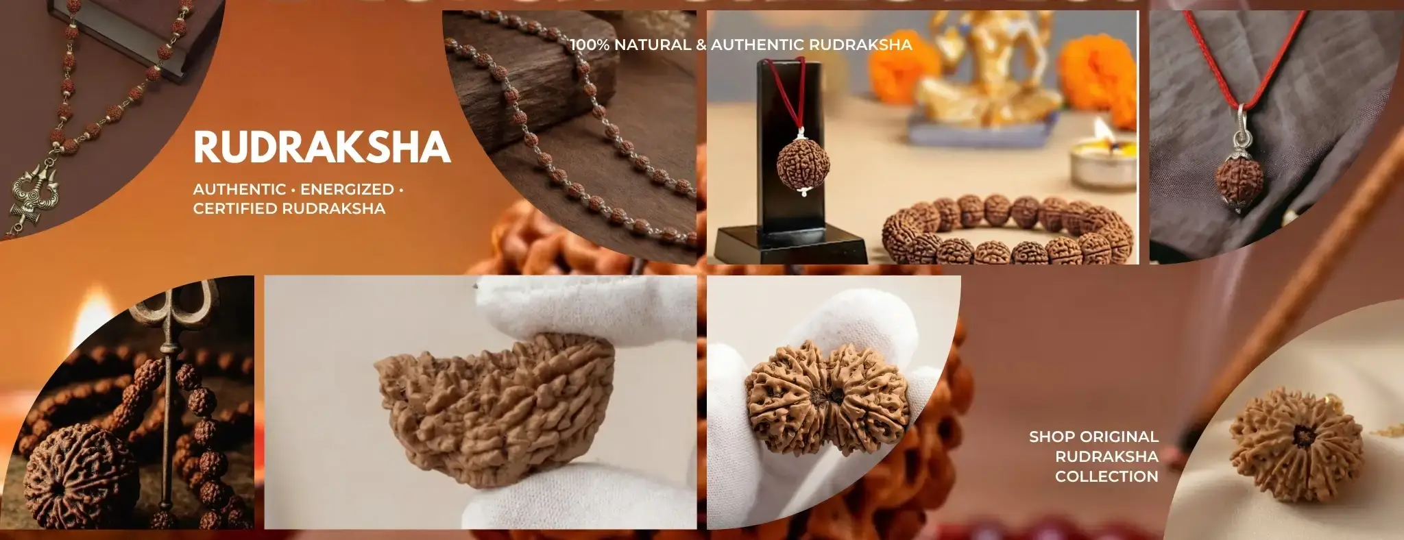 rudraksha