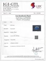 Natural Ceylon Blue Sapphire – Premium Cushion Cut Blue Sapphire Gemstone - Image 5