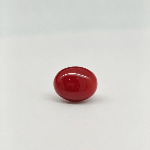 Natural Japanese Coral red to orange oval gemstone JCR-014 from Japan