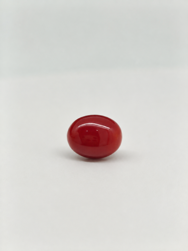 Natural Japanese Coral – Red to Orange Oval Gemstone JCR-014 Natural Japanese Coral red to orange oval gemstone JCR-014 from Japan