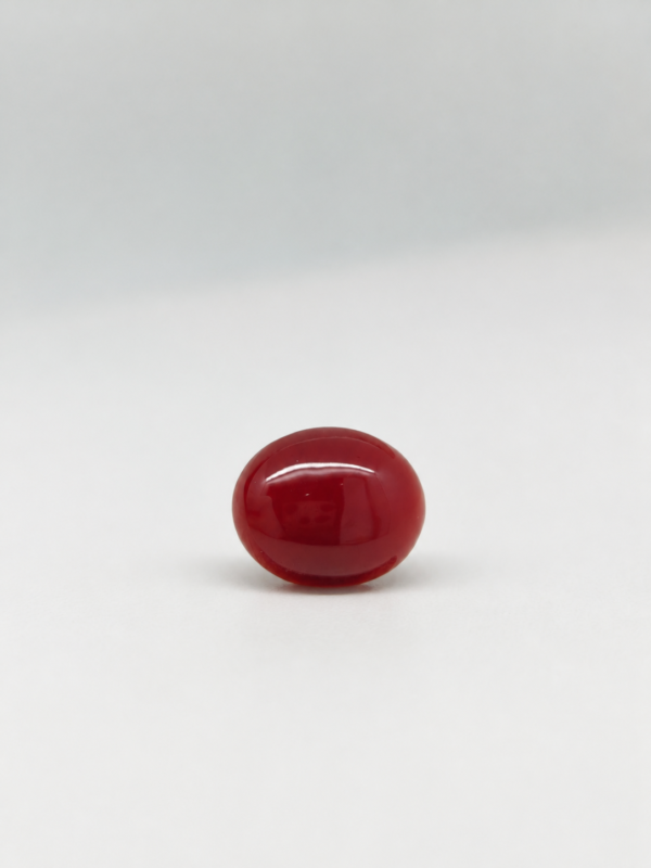 Natural Japanese Coral – Red to Orange Oval Gemstone JCR-015 Natural Japanese Coral red to orange oval gemstone JCR-015 from Japan