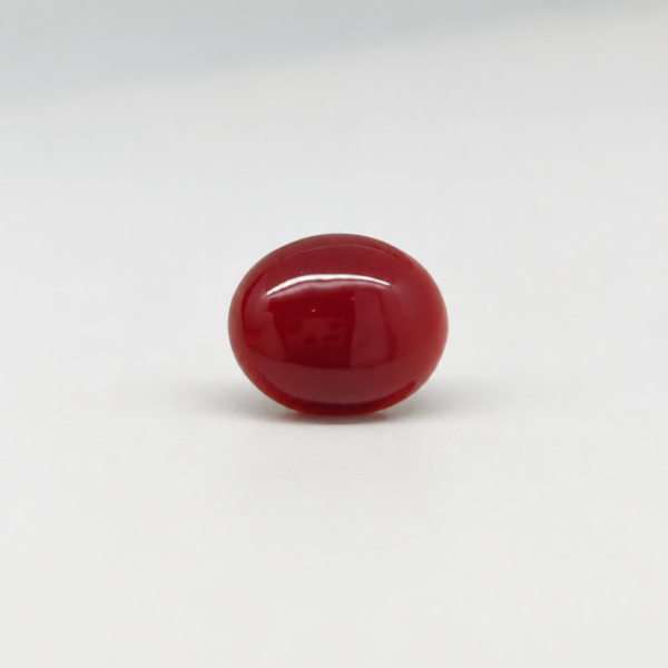Natural Japanese Coral red oval gemstone JCR-016 from Japan
