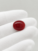 Natural Coral Stone