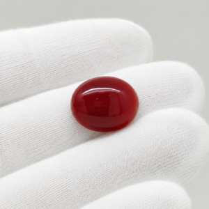 Natural Coral Stone