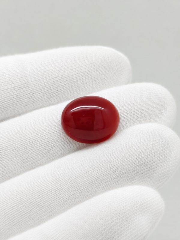 Natural Coral Stone