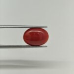 Natural Japanese Coral Oval Gemstone – JCR-013 - Image 3