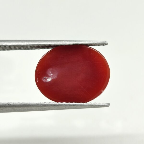 natural japanese coral
