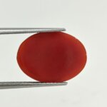 Natural Coral Stone
