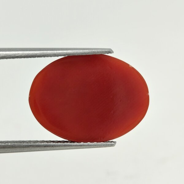 Natural Coral Stone