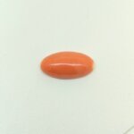 Japanese Coral gemstone featuring vibrant natural red hues with a smooth polished finish and exceptional organic beauty.