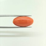 Premium Japanese Coral Gemstone – JCR-001 | Natural Red Coral from Japan - Image 3