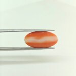 Premium Japanese Coral Gemstone – JCR-001 | Natural Red Coral from Japan - Image 4
