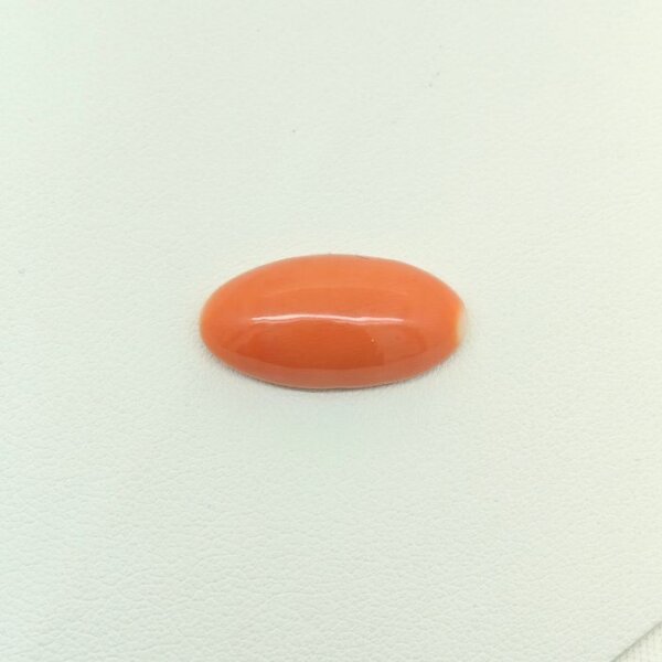Japanese Coral gemstone featuring vibrant natural red hues with a smooth polished finish and exceptional organic beauty.